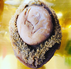 Dried Australian Abalone (Available IN STORE only)